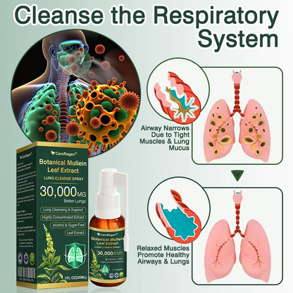 🫁⚡✅Official Store:CareRegen® Botanical Mullein Leaf Extract Lung Cleanse Spray（🫁Directly acts on COPD, asthma, chronic bronchitis (CB), respiratory infections, lung cancer, sinusitis, and other conditions🫁）🌞