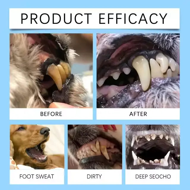[Official Store] Lotmay® Pet Dental & Digestive Health Oral Liquid – Freshen Breath, Remove Tartar & Promote gum regeneration, stabilize teeth (for Cats & Dogs)  – Save 70% Today!🎁