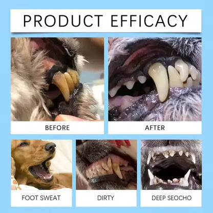 [Official Store] Lotmay® Pet Dental & Digestive Health Oral Liquid – Freshen Breath, Remove Tartar & Promote gum regeneration, stabilize teeth (for Cats & Dogs)  – Save 70% Today!🎁